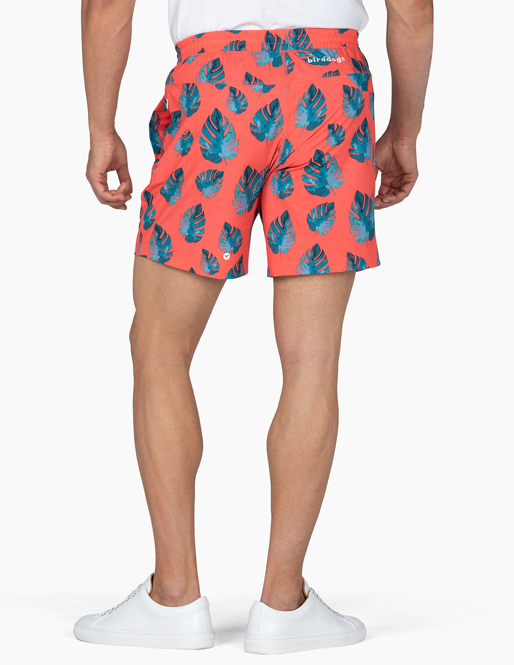 birddogs Red shorts with blue leaves on model back