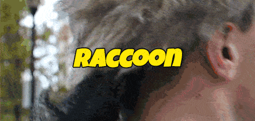 If we invented Raccoons, they would be called Trash Pandas.