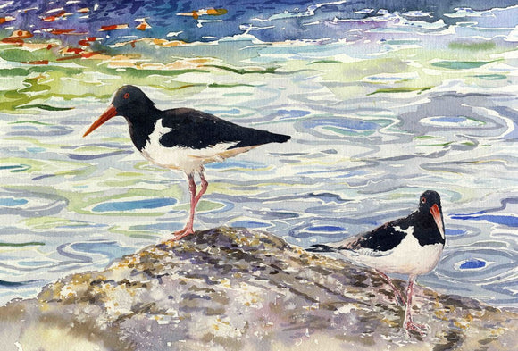 Two Oystercatchers on the shoreline