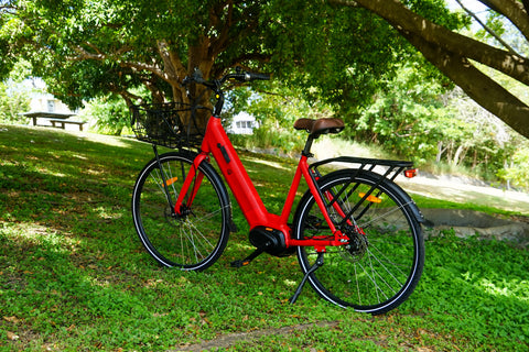 BF Roma electric bike at the park