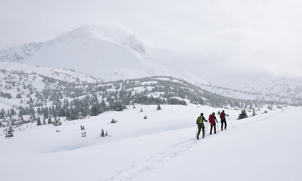 how many calories does backcountry skiing burn