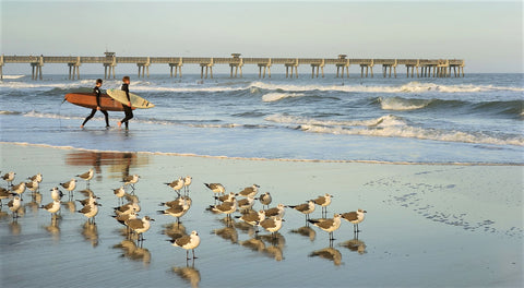 surfing jacksonville beach florida