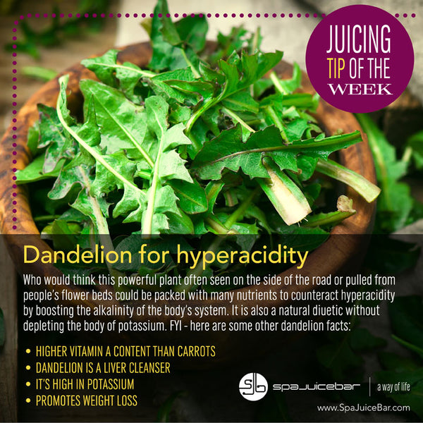 SpaJuiceBar juice tip of the week dandelion