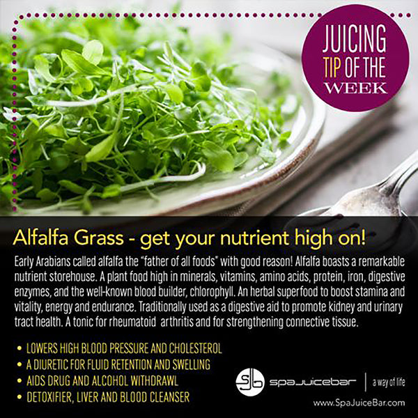 Infographic Juice Tip of the Week Alfalfa Grass