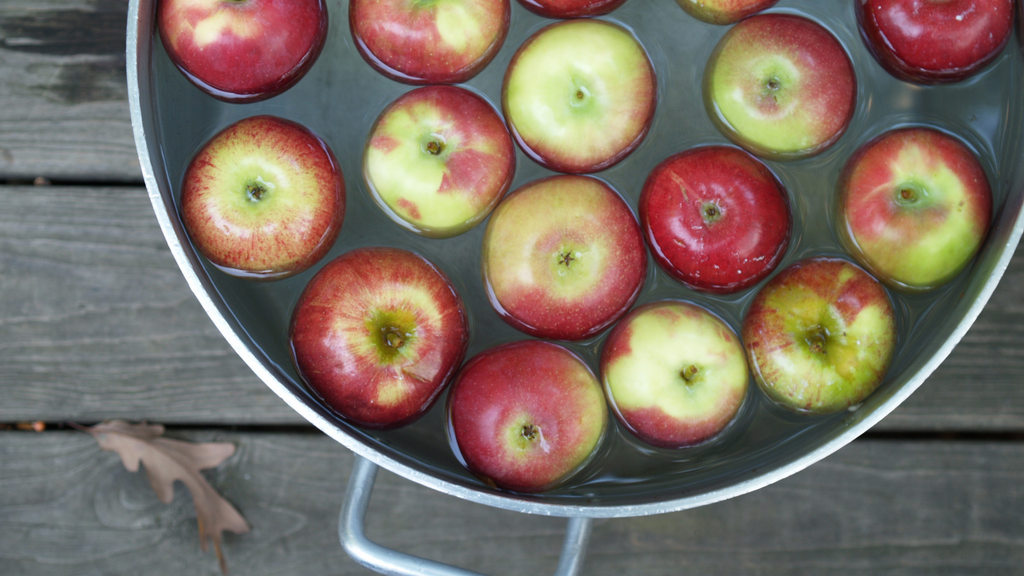 Halloween Party Activity Ideas, Bobbing for apples