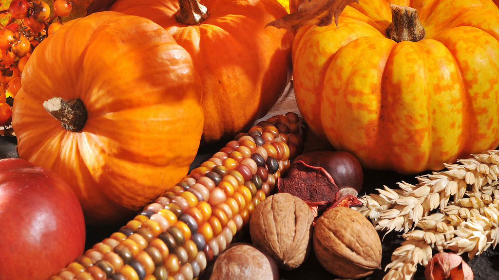 Thanksgiving classroom decoration ideas, pumpkins, gourds, and jeweled corn