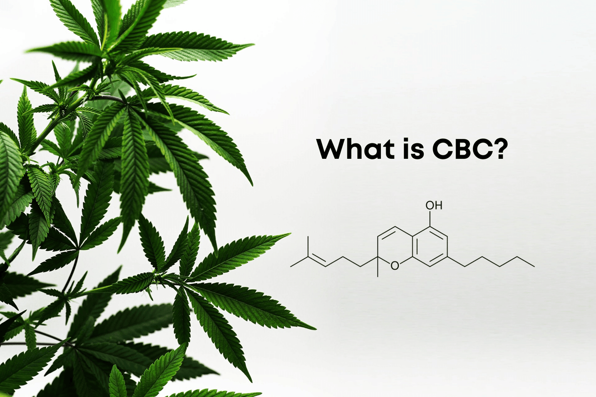 what is cbc cannabinoid