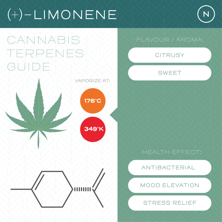 What are terpenes?