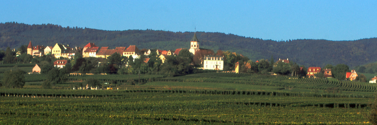 Bott Geyl Vinhos da Alsacia
