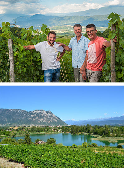 Domaine-Giachino-vinho-Savoie