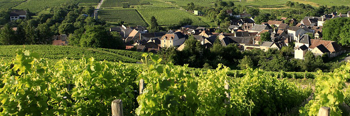 Domaine Jean Claude Lapalu Beaujolais vinho gamay