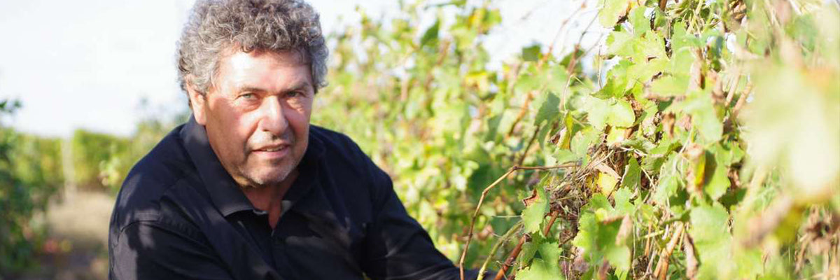 Domaine Rousset Peyraguey Sauternes vinho de sobremesa liquoroso bordeaux