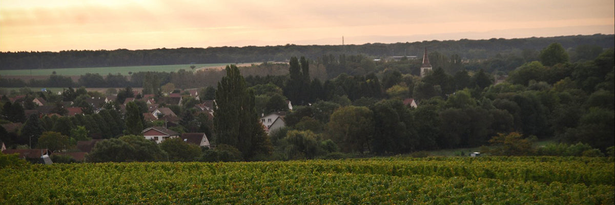 Domaine-Sarnin-Berrux-Bourgogne-vinho
