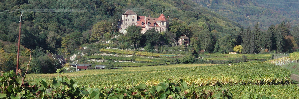 Domaine Sylvie Spielman Alsace vinho branco riesling pinot gris bergheim