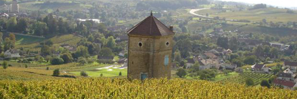 Domaine benedicte et stephane tissot vinho jura vin jaune savagnin