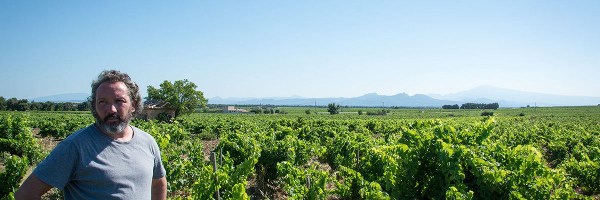 Domaine de Villeneuve Chateauneuf du Pape vinho tinto