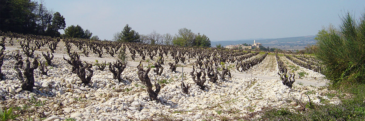 Domaine de l Oratoire Saint Martin cotes du Rhone Cairanne vinho tinto