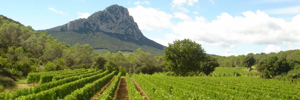 Domaine de l hortus Languedoc Pic Saint Loup Vinho Tinto