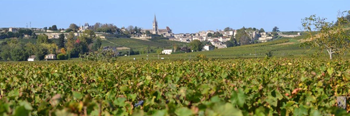Saint-Emilion-Chateau-Meylet-vinho-tinto