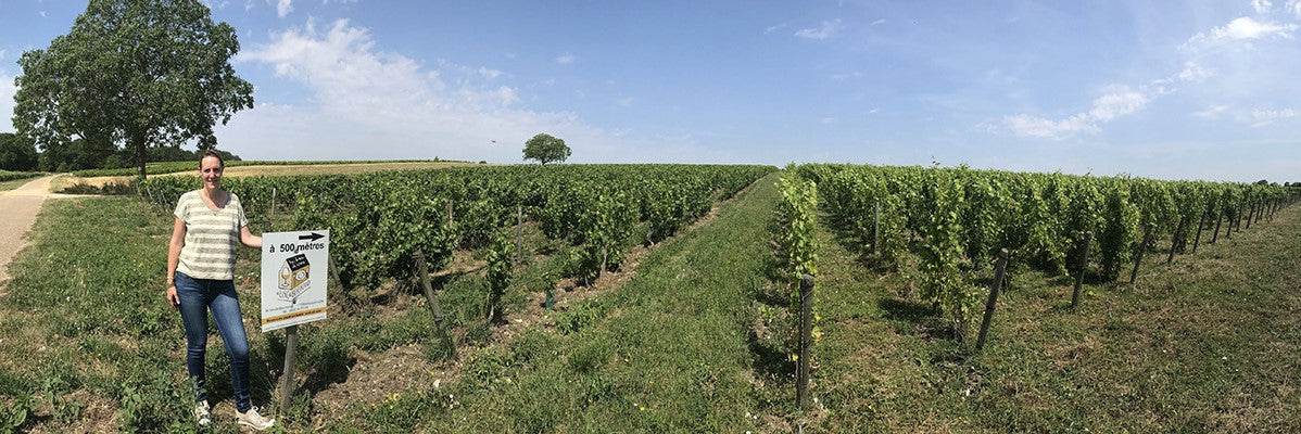 Chateau-Peybonhomme-_les-Tours-de-la-croix-vinhos