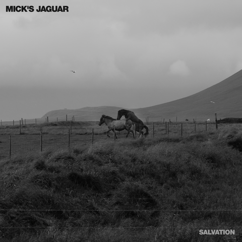 Mick's Jaguar Salvation