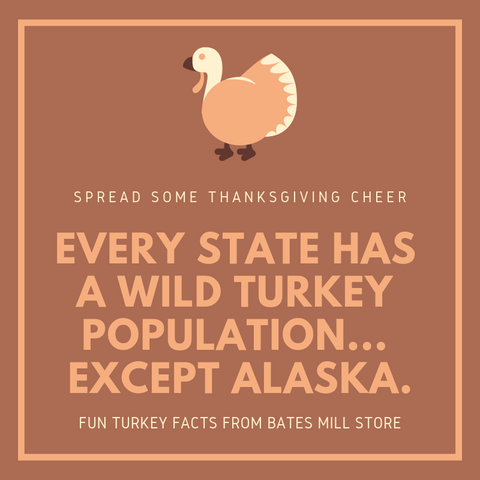 Wild Turkey Truths: It's A Fact!
