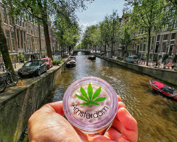 amsterdam-cannabis-legalizacion-marihguana-legal-en-holanda-coffe-shops-cannabis-legalization