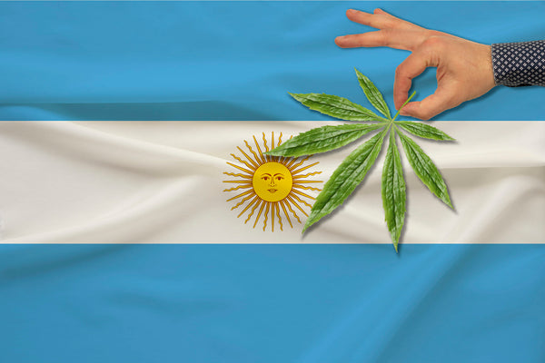legal-status-cannabis-argentina-latinamerica-es-legal-la-marihuana-en-argentina-historia-de-despenalizacion-de-cannabis