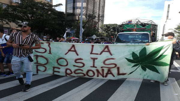 manifestaciones en colombia para la legalizacion de la marihuana legal status of cannabis in colombia como se consigue marihuana en colombia auto cultivo grow shop colombia 
