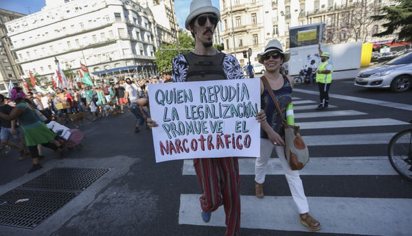 manifestaciones y legalizacion del cannabis o marihuana en argentina como sucedio la despenalizacion de la marihuana en argentina legal status of cannabis in argentina