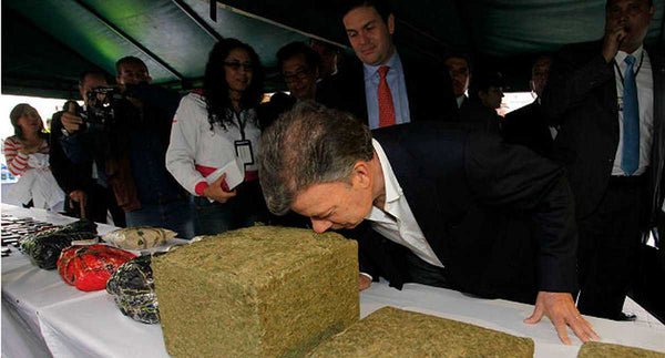 presidente de colombia juan manuel santos oliendo marihuana en colombia legalizacion de la cannabis en colombia legal status cannabis latinamerica marihiana cultivation in colombian soil