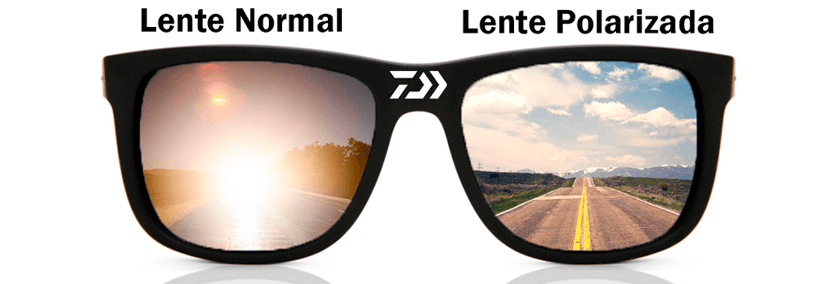 óculos polarizado daiwa lentes