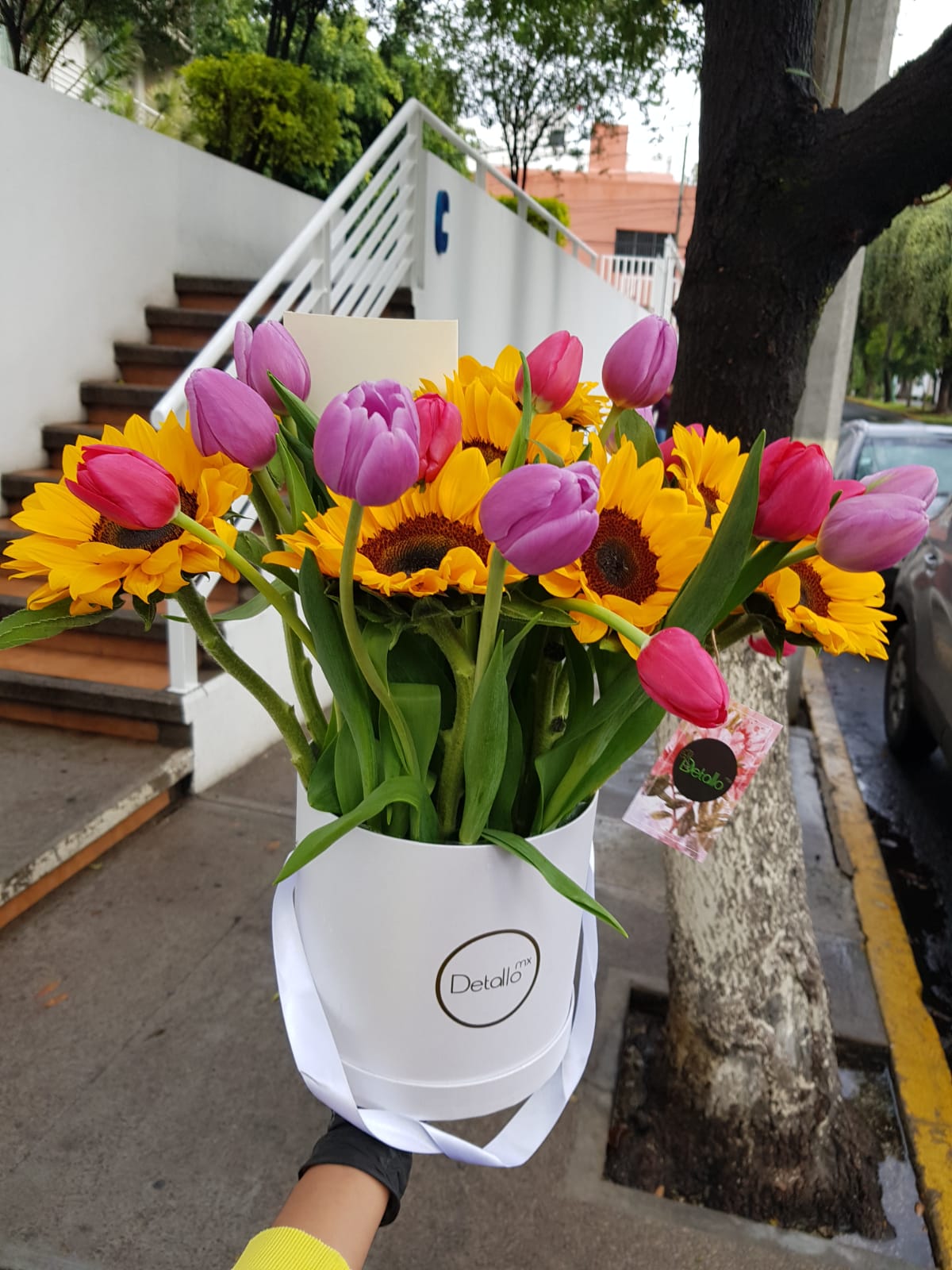 Arreglo Floral de Tulipanes y Girasoles – Detallo MX