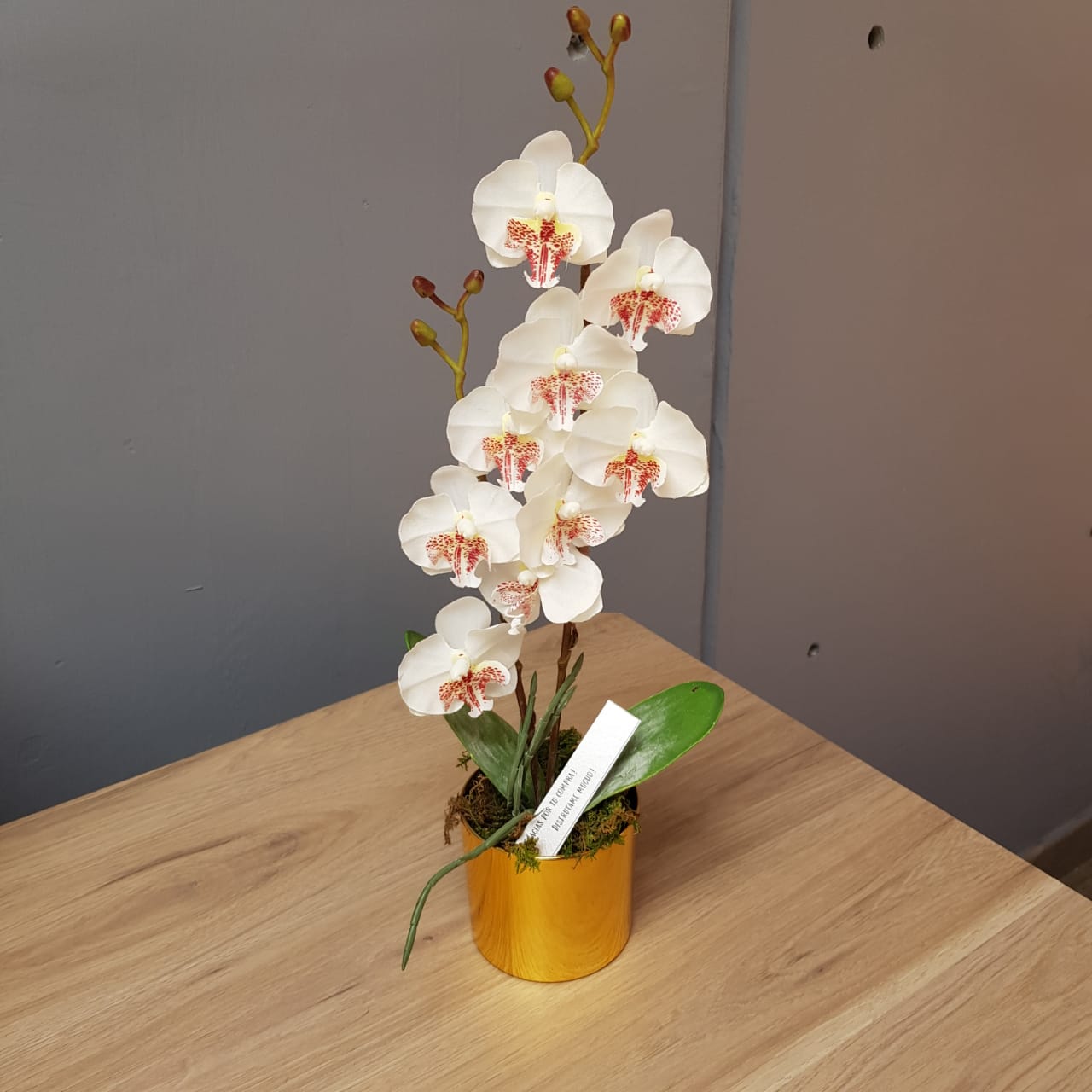 Orquídea Artificial | Envío a domicilio – Detallo MX