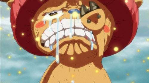 One Piece Episode Of Merry Mo Hitori No Nakama No Monogatari