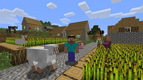 minecraft wii u edition