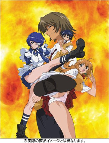 Tags: Anime, Rin Sin, ARMS (Studio), Ikkitousen, Ryuubi Gentoku, Kan