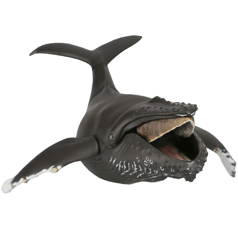 whale toy box