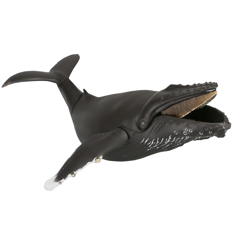 whale toy box