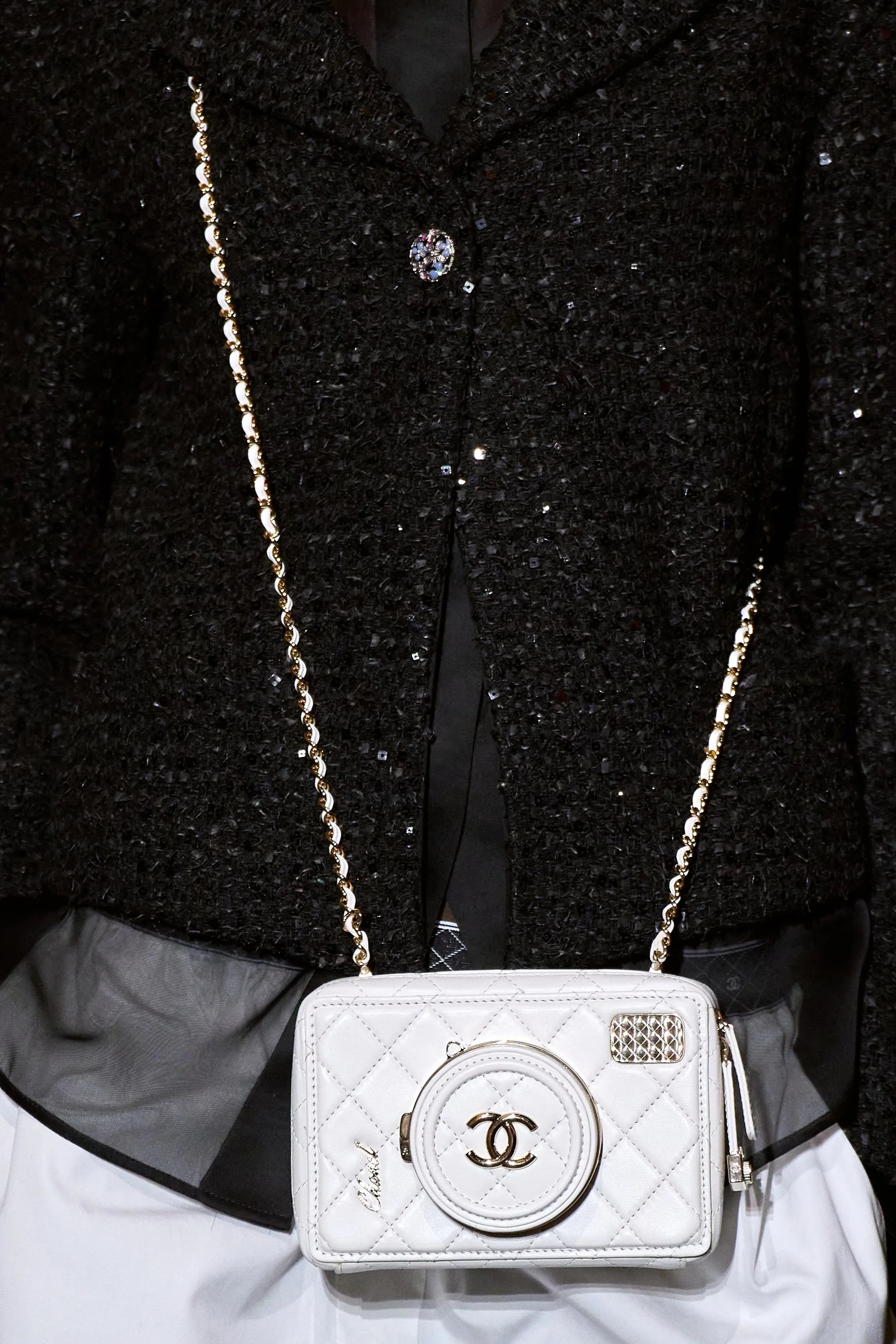 Chanel 2024 spring summer collection 24S runway camera bag