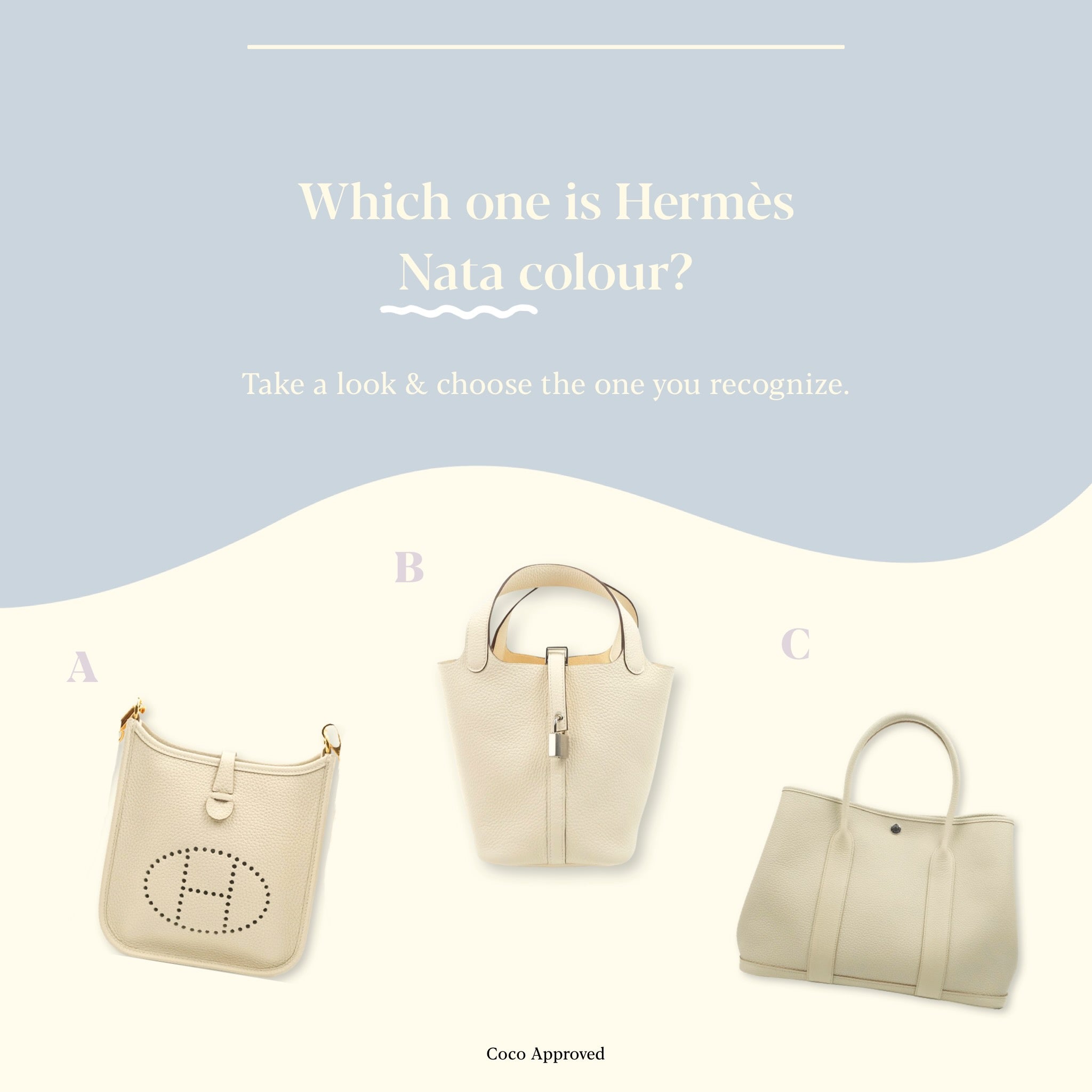 Can You Name Any Hermès Handbag Signature Colours? The Most Wanted