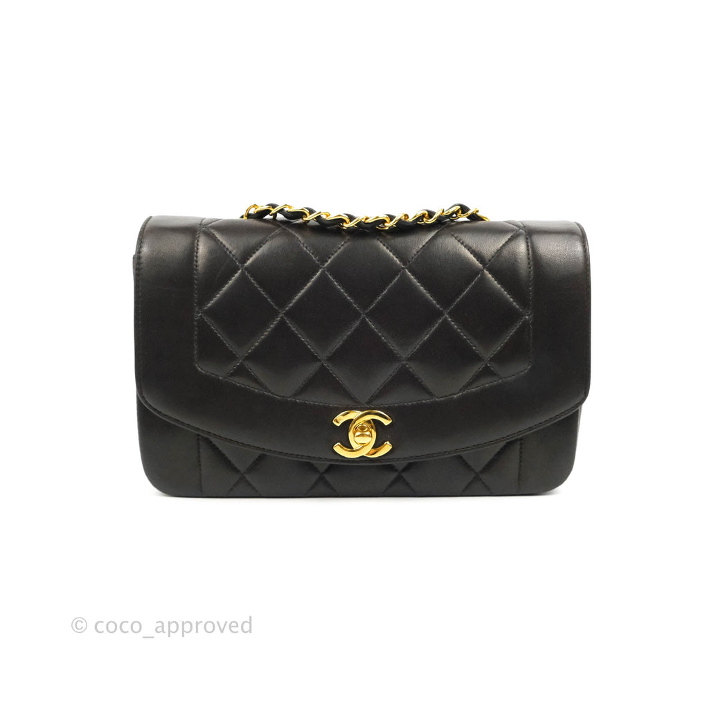 Tổng hợp 80 chanel diana bag mới nhất  trieuson5