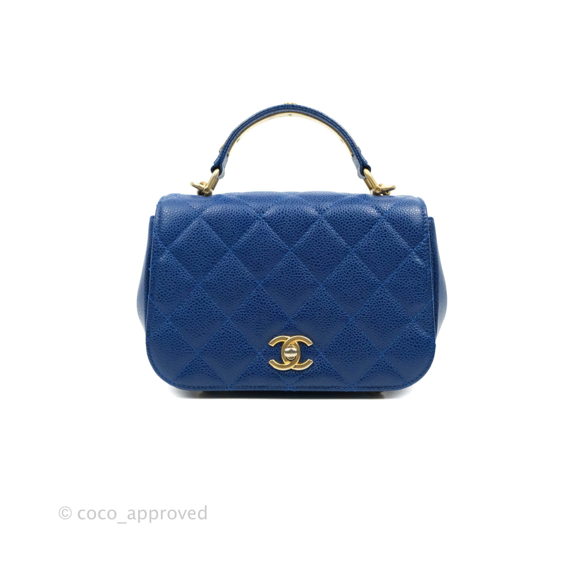 chanel carry around