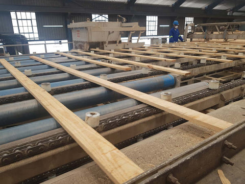 MTO Sawmill processing lumber planks