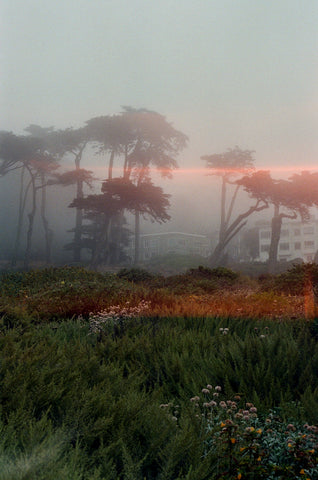 foggy photo of lands end san francisco