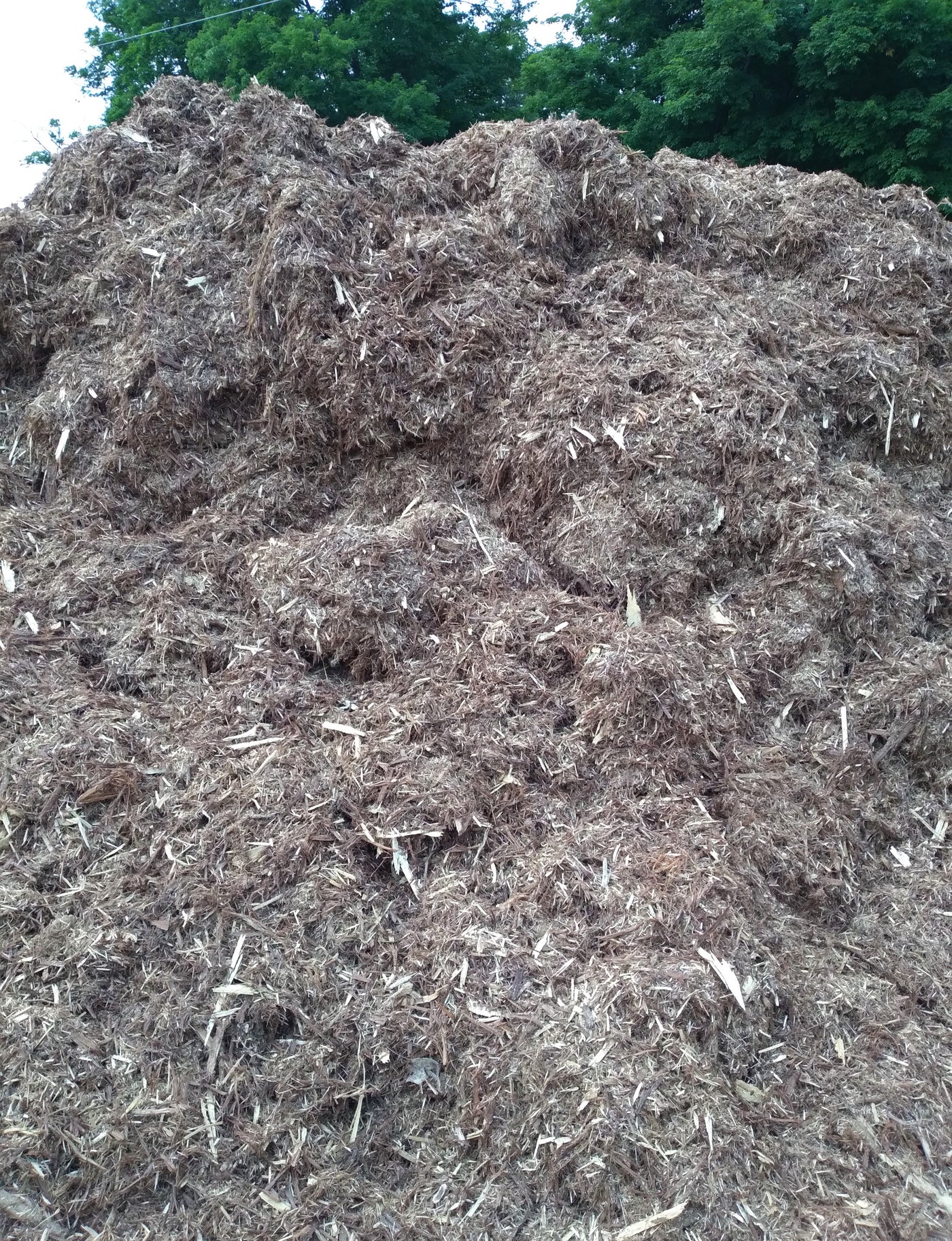 Image of Cedar mulch bulk in garden center