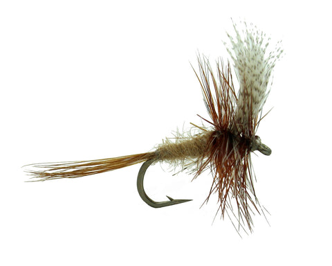 Gray Fox, Dry Fly, Discount Trout Fly, Cheap Trout Fly – Dryflyonline.com