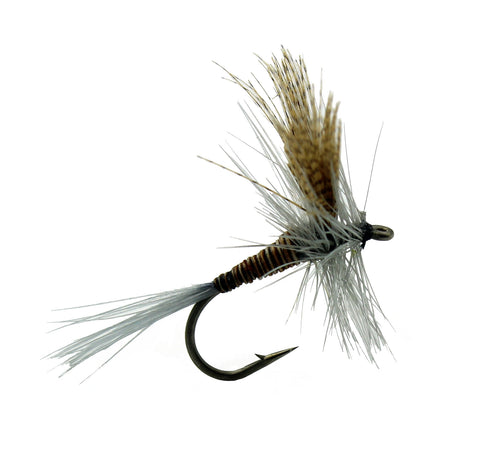 Quill Gordan, Dry Fly, Trout Fly for Fly fishing – Dryflyonline.com