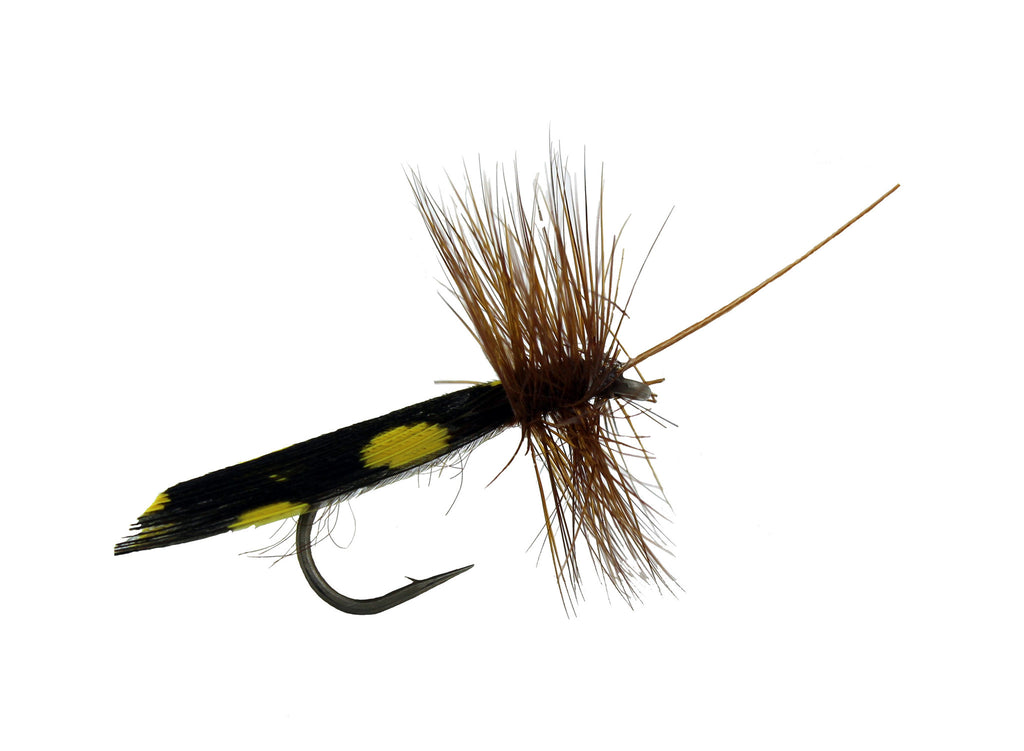 Sedge Spotted, Discount Trout Flies for Fly Fishing – Dryflyonline.com
