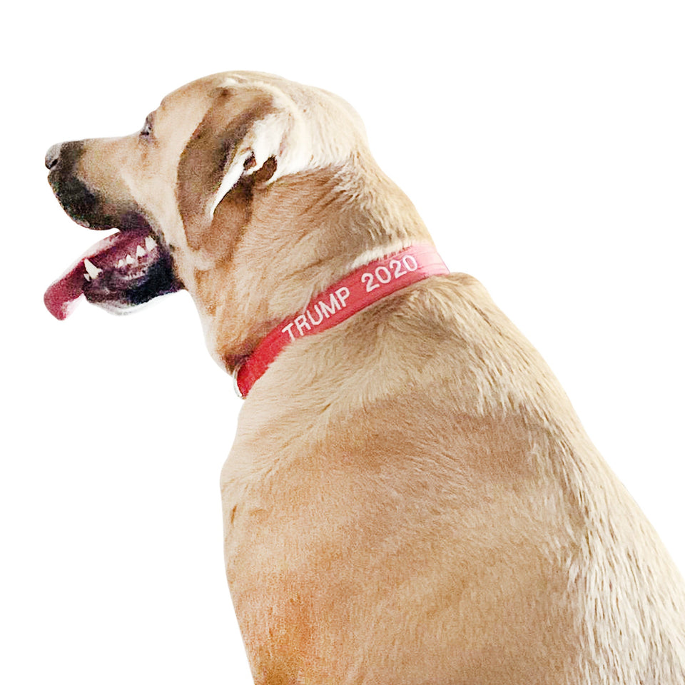 Trump 2020 Dog Collar Sale – Republican Dogs